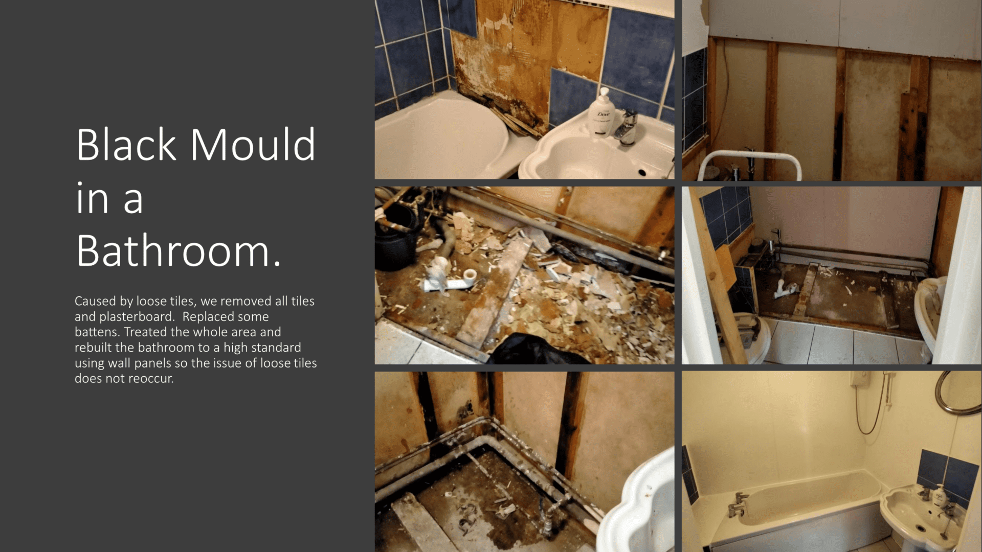 Black Mould Treatment And Removal